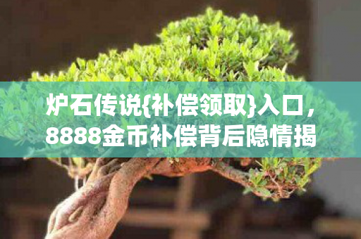 8888金币补偿背后隐情揭秘图片
