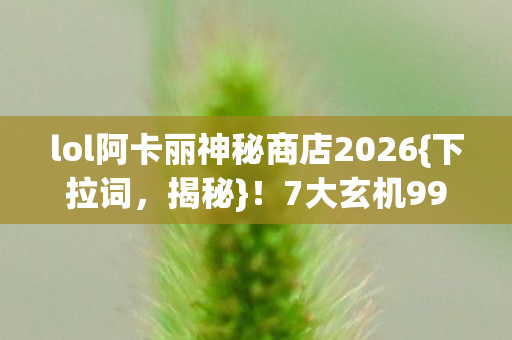 lol阿卡丽神秘商店2026图片