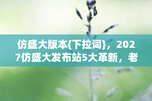 2027仿盛大发布站5大革新图片