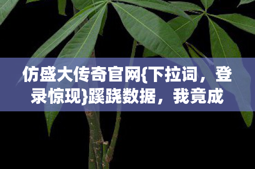 仿盛大传奇官网图片