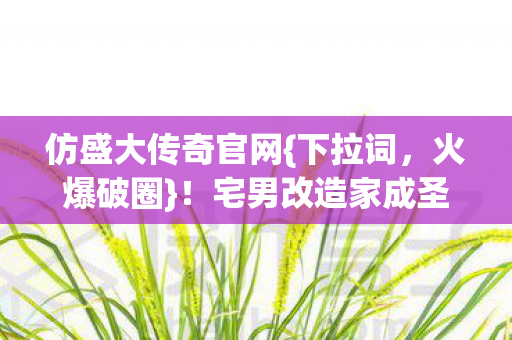 宅男改造家成圣域图片