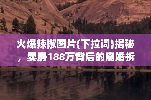 卖房188万背后的离婚拆家隐情图片