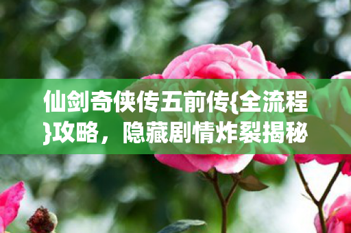 仙剑奇侠传五前传图片