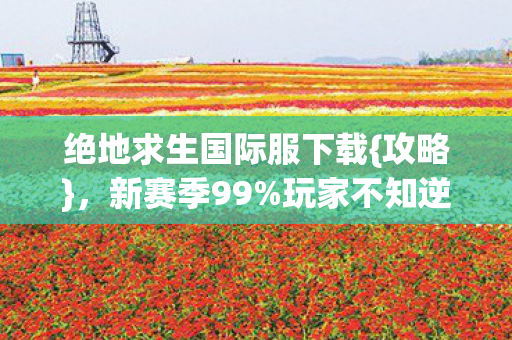 绝地求生国际服下载图片
