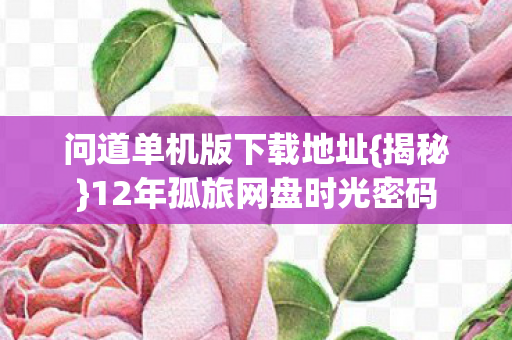 12年孤旅网盘时光密码图片