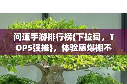 体验感爆棚不容错过图片