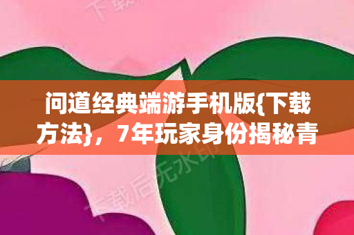 7年玩家身份揭秘青春回忆图片