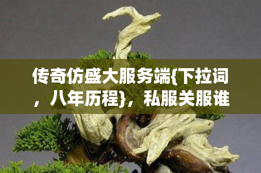 传奇仿盛大服务端图片
