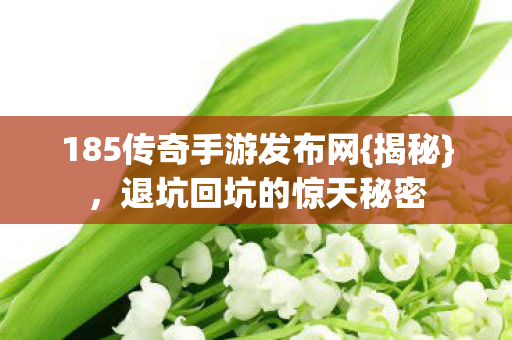 185传奇手游发布网{揭秘},退坑回坑的惊天秘密 185传奇手游发布网{揭秘},退坑回坑的惊天秘密