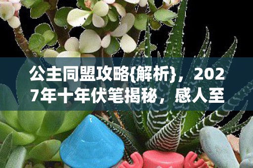 2027年十年伏笔揭秘图片
