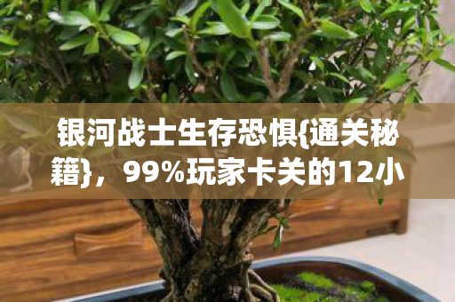 玩家卡关的12小时挑战图片
