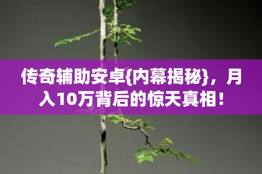 月入10万背后的惊天真相图片