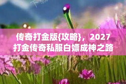 传奇打金版{攻略},2027打金传奇私服白嫖成神之路 传奇打金版{攻略},2027打金传奇私服白嫖成神之路
