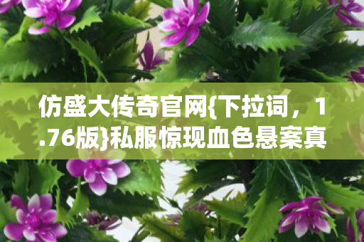 仿盛大传奇官网{下拉词，1.76版}私服惊现血色悬案真相