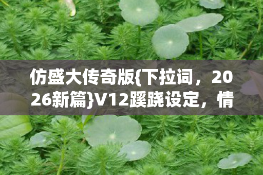 仿盛大传奇版{下拉词,2026新篇}V12蹊跷设定,情怀杀来袭! 仿盛大传奇版{下拉词,2026新篇}V12蹊跷设定,情怀杀来袭!