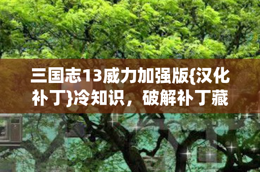 三国志13威力加强版图片