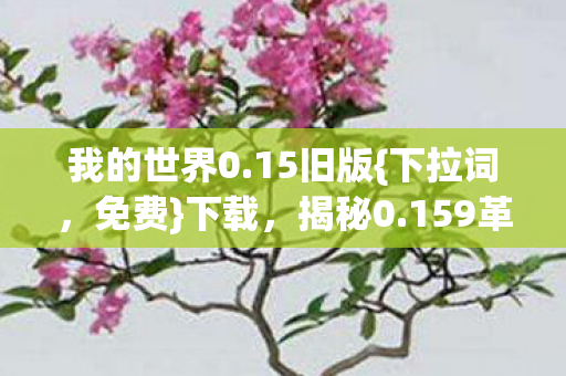 159革新体验图片