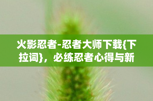 必练忍者心得与新手避坑攻略图片