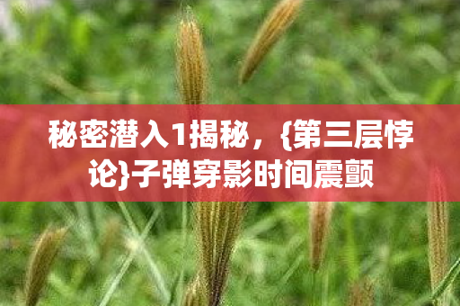 子弹穿影时间震颤图片
