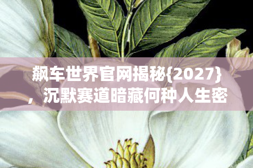 沉默赛道暗藏何种人生密码图片