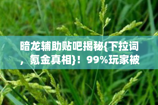 暗龙辅助贴吧揭秘图片