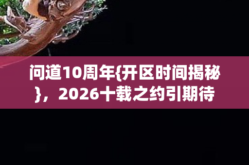 2026十载之约引期待图片
