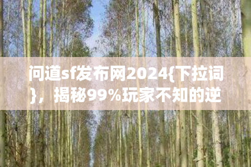 问道sf发布网2024图片