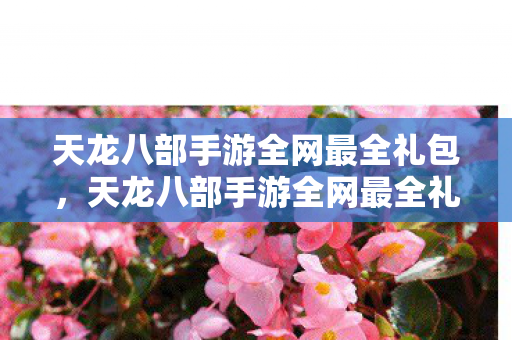 天龙八部手游全网最全礼包大放送图片