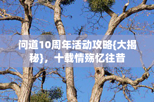 问道10周年活动攻略图片