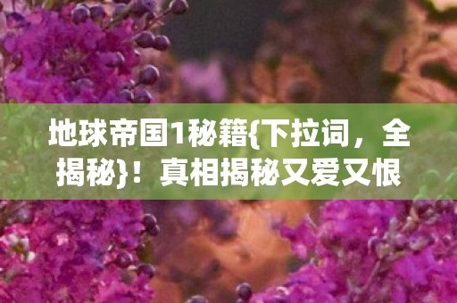 真相揭秘又爱又恨图片