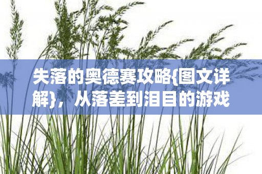 从落差到泪目的游戏之旅图片