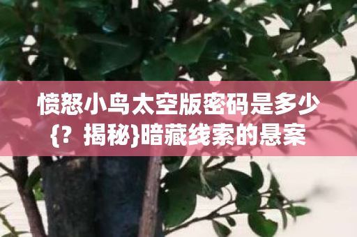 愤怒小鸟太空版密码是多少图片