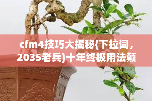 十年终极用法颠覆认知图片