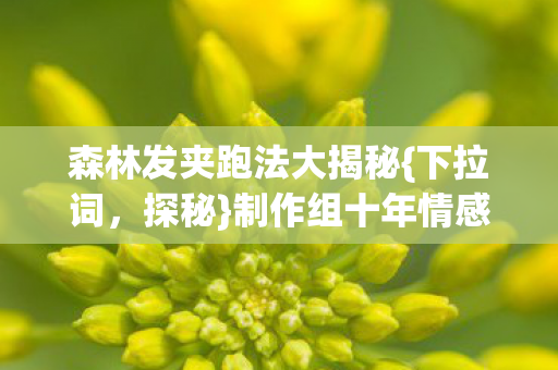 森林发夹跑法大揭秘图片