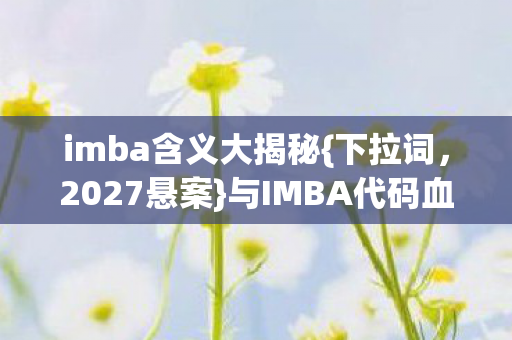 与IMBA代码血色线索图片