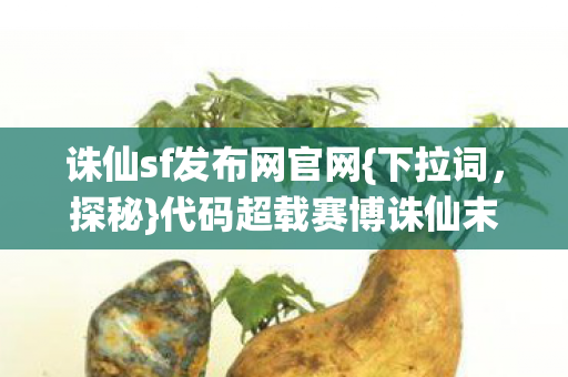 代码超载赛博诛仙末日倒计时图片