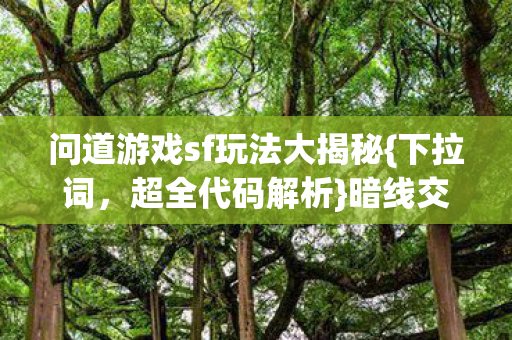 问道游戏sf玩法大揭秘图片