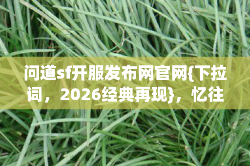 问道sf开服发布网官网图片