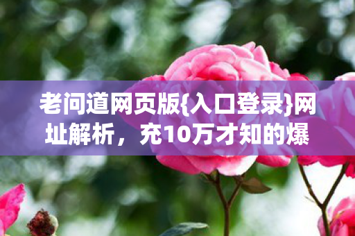 充10万才知的爆率秘密图片