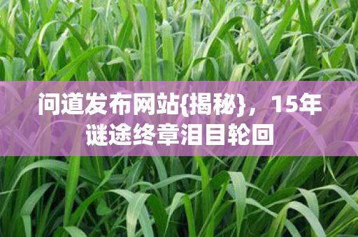 15年谜途终章泪目轮回图片