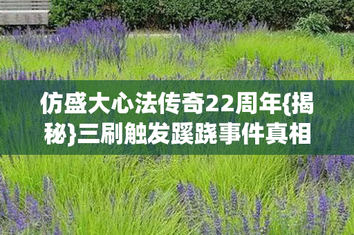 仿盛大心法传奇22周年图片