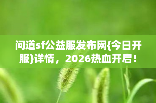 问道sf公益服发布网图片
