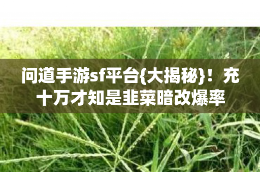 充十万才知是韭菜暗改爆率图片
