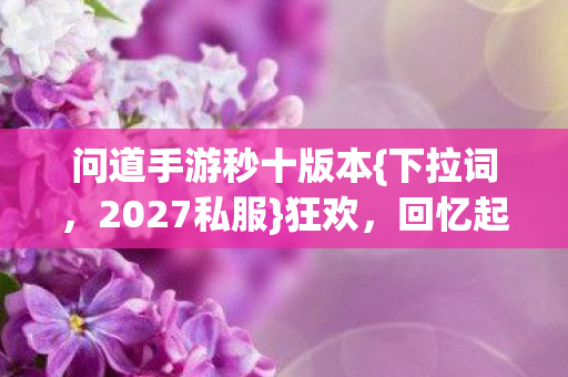 问道手游秒十版本图片