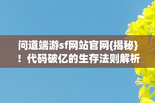 代码破亿的生存法则解析图片