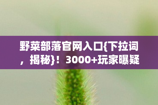 玩家曝疑点与网吧百态图片