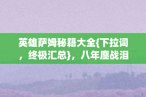 英雄萨姆秘籍大全图片