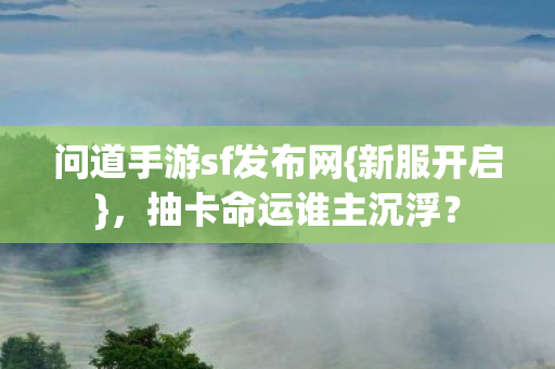 问道手游sf发布网图片