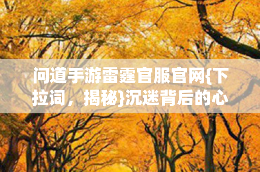 问道手游雷霆官服官网图片