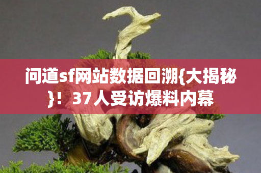 问道sf网站数据回溯图片